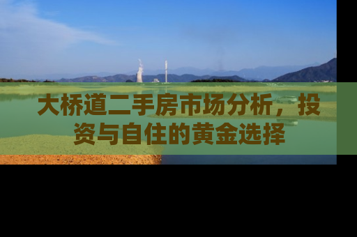 大桥道二手房市场分析，投资与自住的黄金选择