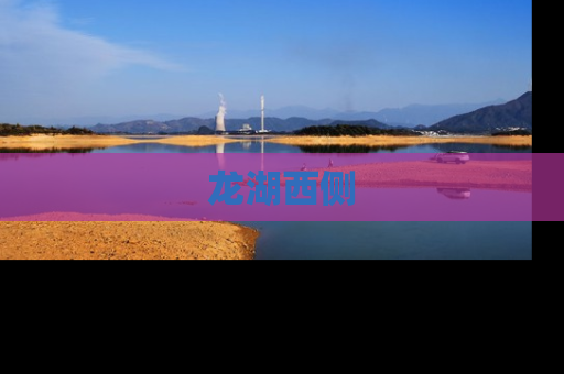 龙湖西侧