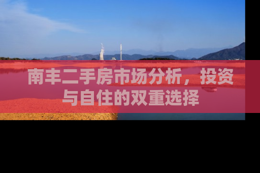 南丰二手房市场分析，投资与自住的双重选择