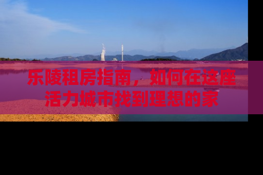 乐陵租房指南，如何在这座活力城市找到理想的家