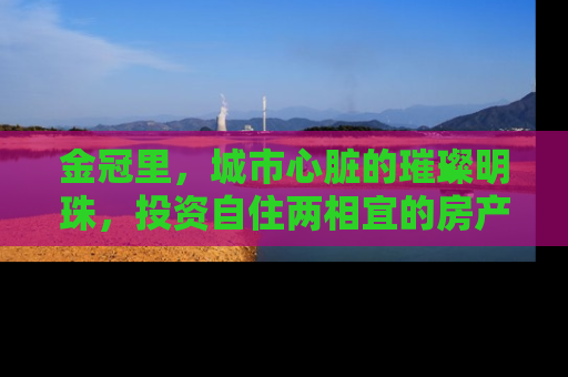 金冠里，城市心脏的璀璨明珠，投资自住两相宜的房产新宠