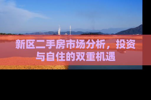 新区二手房市场分析，投资与自住的双重机遇