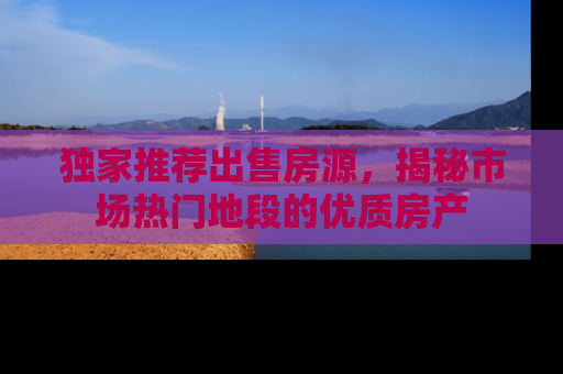 独家推荐出售房源，揭秘市场热门地段的优质房产