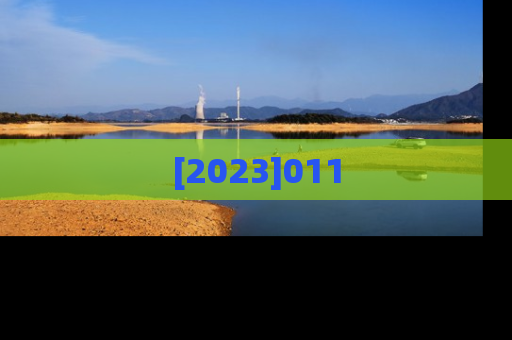 [2023]011