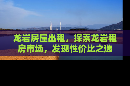 龙岩房屋出租，探索龙岩租房市场，发现性价比之选