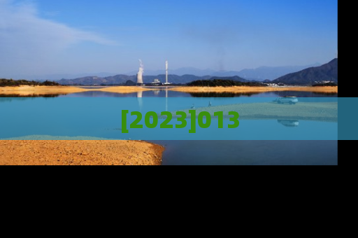 [2023]013