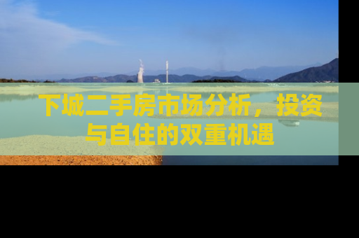 下城二手房市场分析，投资与自住的双重机遇