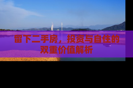留下二手房，投资与自住的双重价值解析