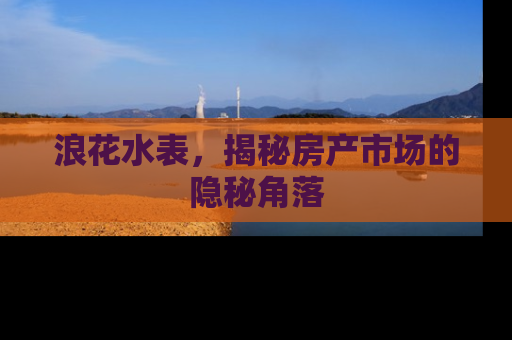 浪花水表,揭秘房产市场的隐秘角落 浪花水表,揭秘房产市场的隐秘角落
