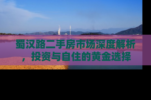 蜀汉路二手房市场深度解析，投资与自住的黄金选择