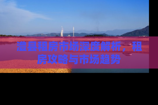 澧县租房市场深度解析，租房攻略与市场趋势