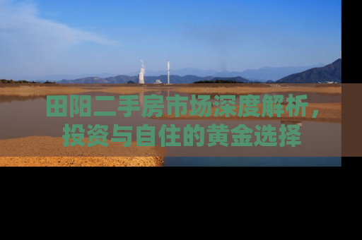 田阳二手房市场深度解析，投资与自住的黄金选择