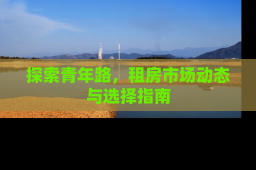 探索青年路，租房市场动态与选择指南