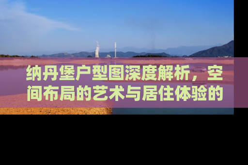 纳丹堡户型图深度解析，空间布局的艺术与居住体验的革新