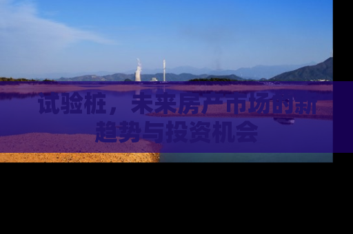 试验桩，未来房产市场的新趋势与投资机会