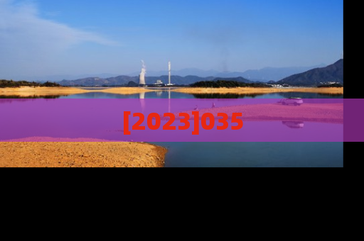 [2023]035