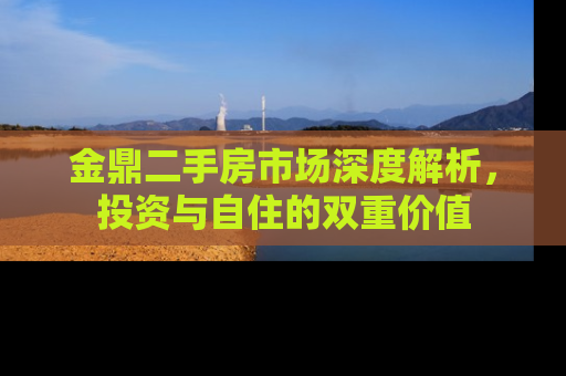 金鼎二手房市场深度解析，投资与自住的双重价值