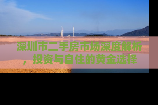 深圳市二手房市场深度解析，投资与自住的黄金选择