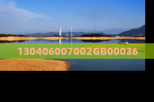 130406007002GB00036