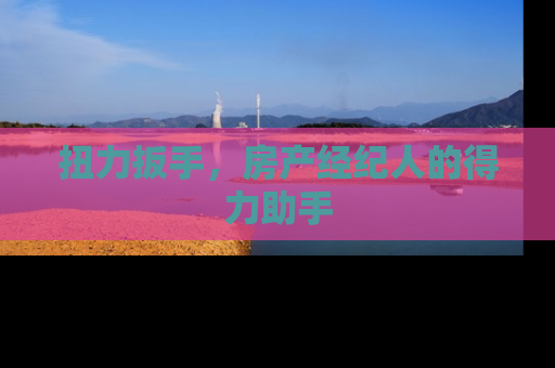 扭力扳手，房产经纪人的得力助手