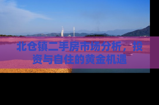 北仓镇二手房市场分析，投资与自住的黄金机遇