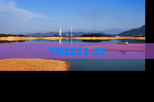 YN2023-30