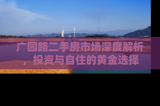 广园路二手房市场深度解析，投资与自住的黄金选择