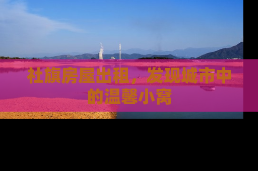 社旗房屋出租，发现城市中的温馨小窝