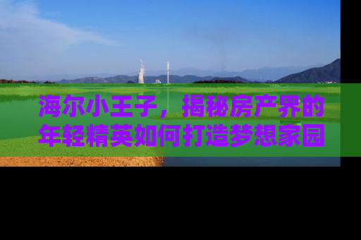 海尔小王子，揭秘房产界的年轻精英如何打造梦想家园
