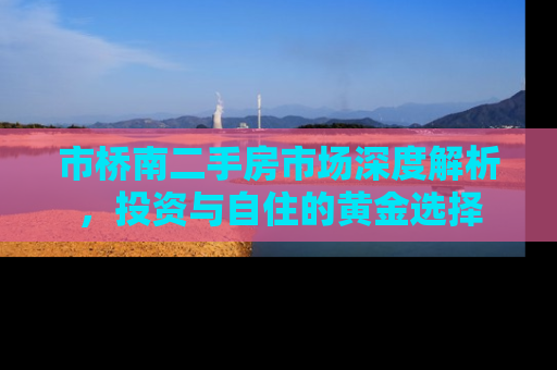 市桥南二手房市场深度解析，投资与自住的黄金选择