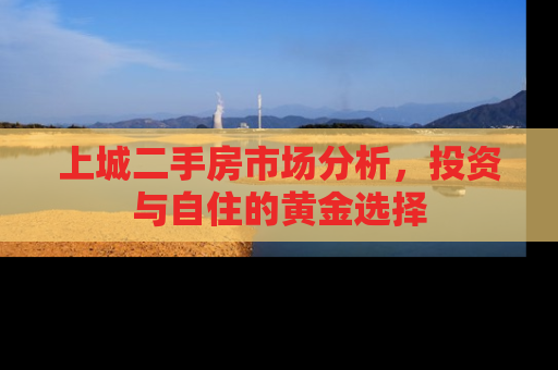上城二手房市场分析，投资与自住的黄金选择