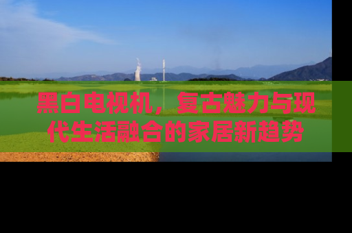 黑白电视机，复古魅力与现代生活融合的家居新趋势