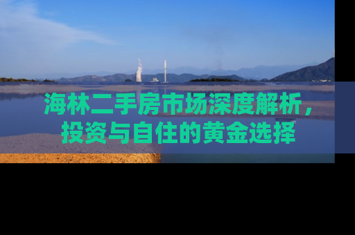 海林二手房市场深度解析，投资与自住的黄金选择