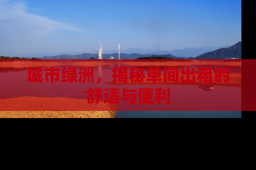 城市绿洲，揭秘单间出租的舒适与便利