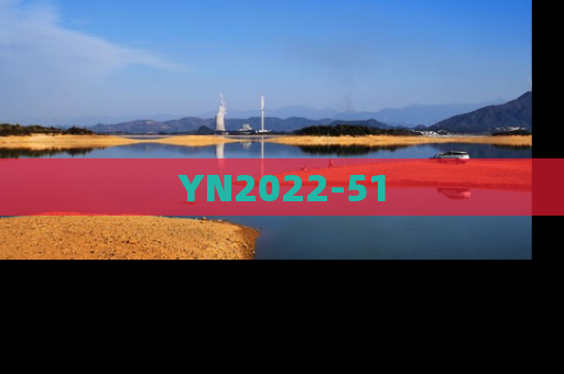 YN2022-51