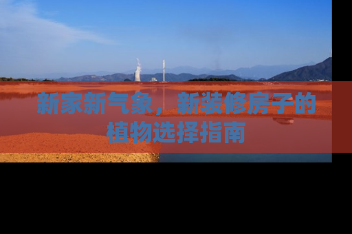 新家新气象，新装修房子的植物选择指南