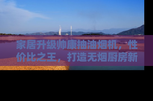 家居升级帅康抽油烟机，性价比之王，打造无烟厨房新体验