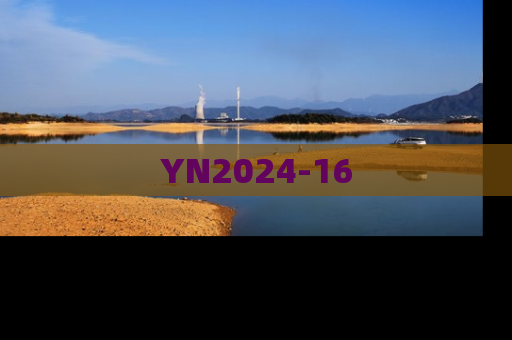 YN2024-16