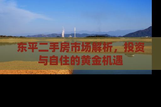 东平二手房市场解析，投资与自住的黄金机遇