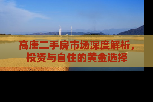 高唐二手房市场深度解析，投资与自住的黄金选择