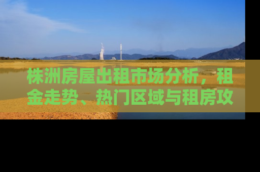 株洲房屋出租市场分析，租金走势、热门区域与租房攻略