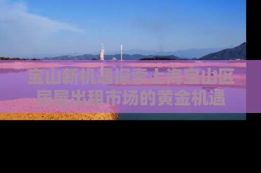宝山新机遇探索上海宝山区房屋出租市场的黄金机遇