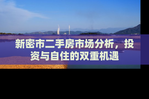新密市二手房市场分析，投资与自住的双重机遇