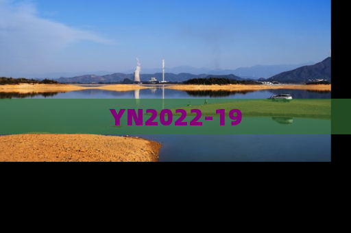 YN2022-19