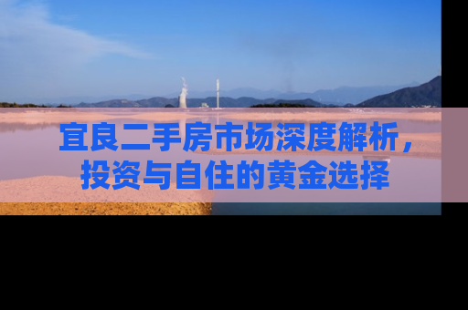 宜良二手房市场深度解析，投资与自住的黄金选择