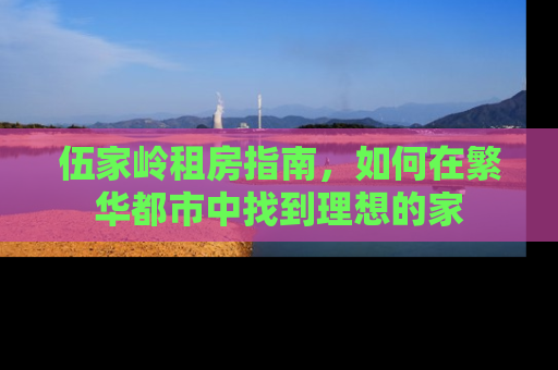 伍家岭租房指南，如何在繁华都市中找到理想的家