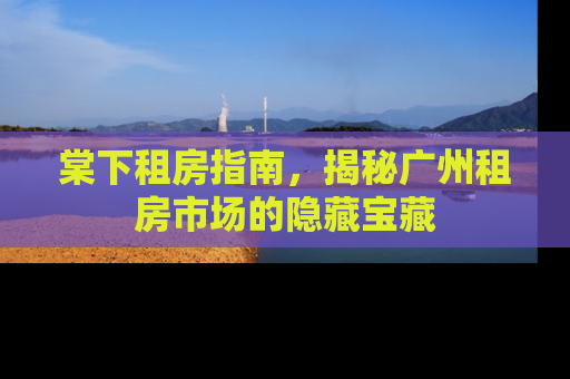 棠下租房指南，揭秘广州租房市场的隐藏宝藏