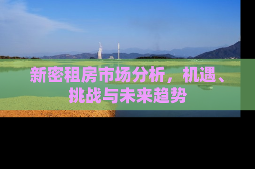 新密租房市场分析，机遇、挑战与未来趋势