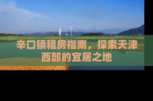 辛口镇租房指南，探索天津西部的宜居之地