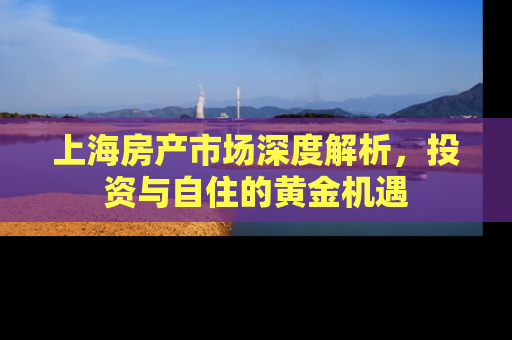 上海房产市场深度解析，投资与自住的黄金机遇